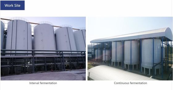 State-of-the-Art Vibration Plate Tower Type Extraction Tower for Alcohol Production