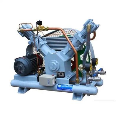 Medium Size Wellcare Oxygen Booster Compressor 60-600 NM3/H for Medical Applications