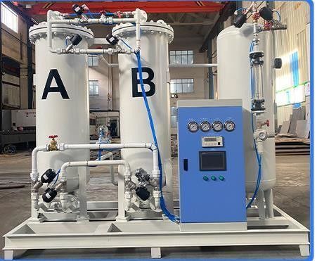 Nitrogen System Psa N2 Nitrogen Generator Price