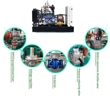 Biogas Generator Engine, CE / ISO Approved Biogas Generators Power Plant, Auto Start Biogas Generator Plant