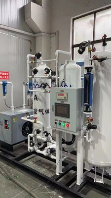 Skid-Mounted N2 Gas Generator WGNG-01 for Easy Installation and in Industrial Settings