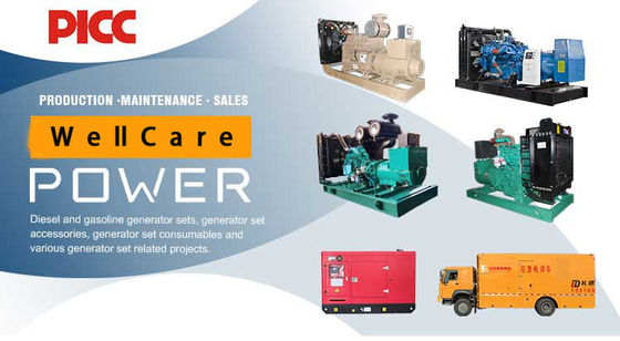 Natural Gas Turbine Generator 330kVA LPG LNG Biogas Electric Start Natural Gas Biogas Generator