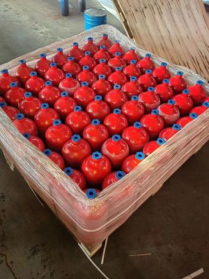 Fire CO2 Cylinder Stainless Steel Gas Cylinder CO2 Fire Fighting Gas Cylinder for Fire System
