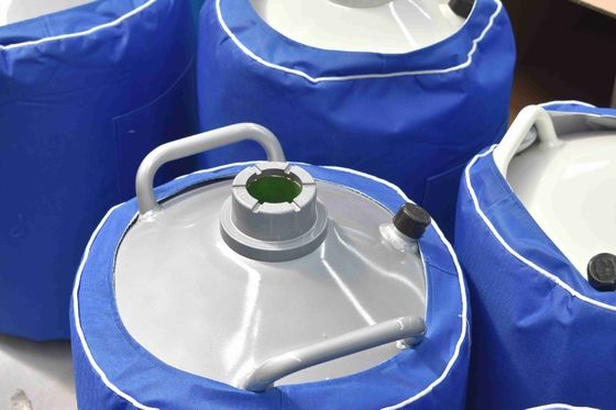 Liquid Nitrogen Tanks Safety (YDS TYPE) Cryogenic Storage Container Stainless Steel Cryogenic Liquid Storage Tank