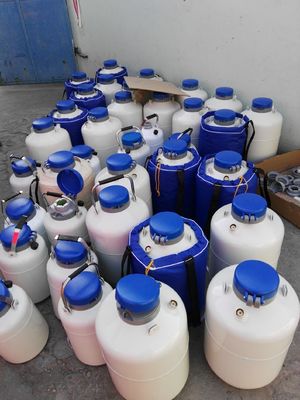 Liquid Nitrogen Tanks Safety (YDS TYPE) Cryogenic Storage Container Stainless Steel Cryogenic Liquid Storage Tank