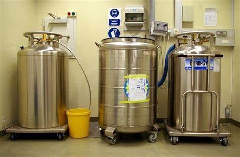 Liquid Nitrogen Tanks Safety (YDS TYPE) Cryogenic Storage Container Stainless Steel Cryogenic Liquid Storage Tank